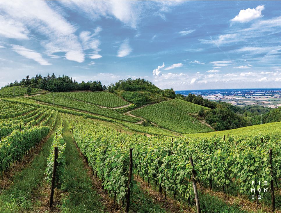 Piémont, Italie, région, vin, appellation, gastronomie 